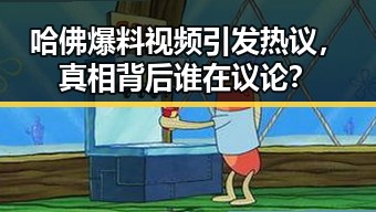 哈佛爆料视频引发热议,真相背后谁在议论?