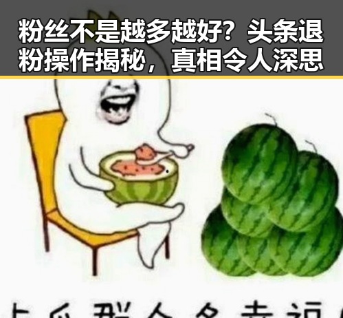 粉丝不是越多越好?头条退粉操作揭秘,真相令人深思